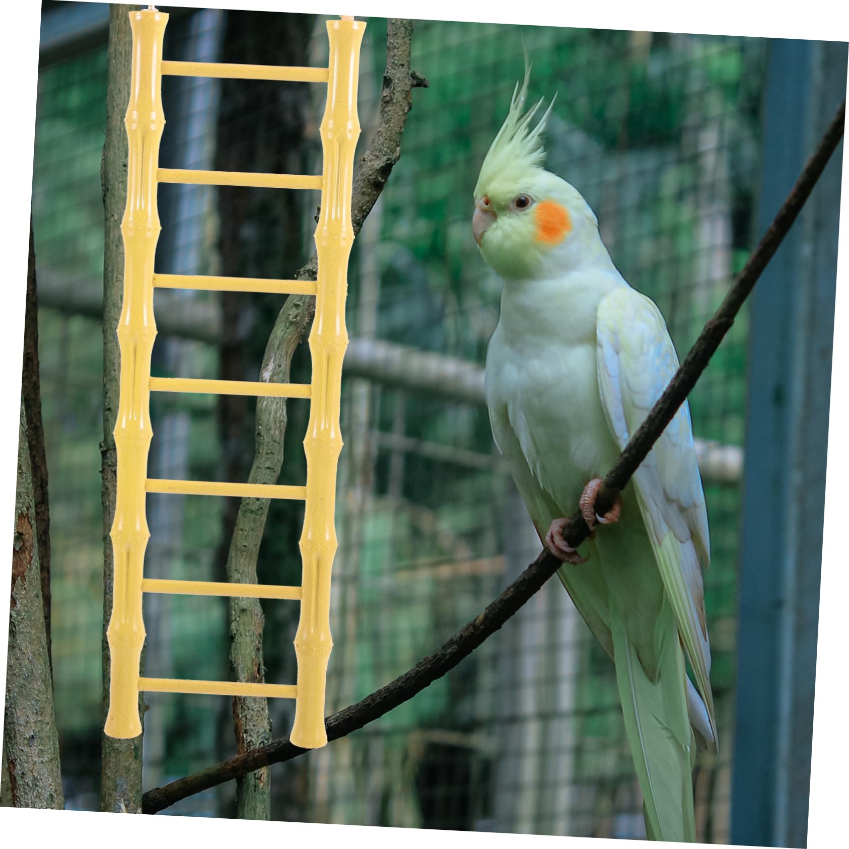 DRESSOOS Bird Ladder Toy for Hamsters and Parrots Safe Climbing Ladder for Bird Training and Exercise for Cage Decoration and Pe
